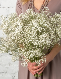 Gaisīgs ziedu pušķis "BABY BREATH"