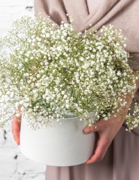 Gaisīga ziedu kastīte "CLOUD OF JOY"