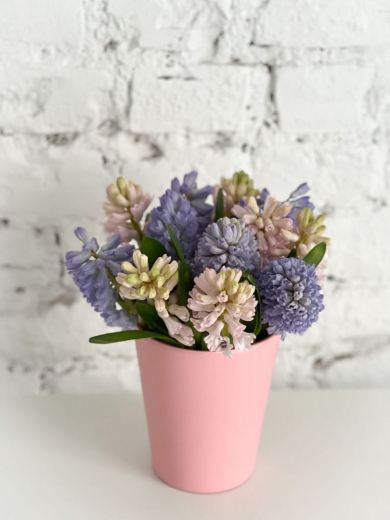 Smaržīgs ziedu pušķis "HIACINTHUS DANCE"