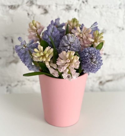 Smaržīgs ziedu pušķis "HIACINTHUS DANCE"