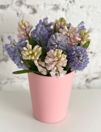 Smaržīgs ziedu pušķis "HIACINTHUS DANCE"