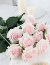 Rožu pušķis "SOFT"