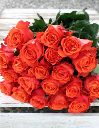 Rožu pušķis "ORANGE"