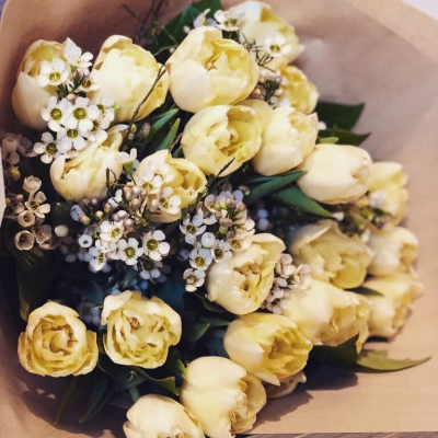 Tulpju pušķis "ICE CREAM"