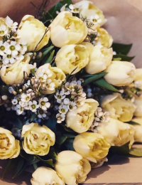 Tulpju pušķis "ICE CREAM"