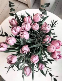 Tulpju pušķis "KATINKA"