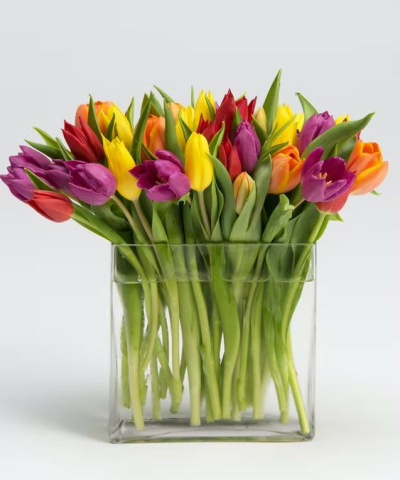 Tulpju pušķis "TAKE AWAY"