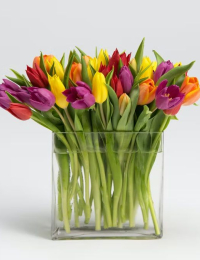 Tulpju pušķis "TAKE AWAY"