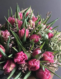 Tulpju pušķis "WEEKEND"